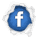 Facebook bedin e vasques